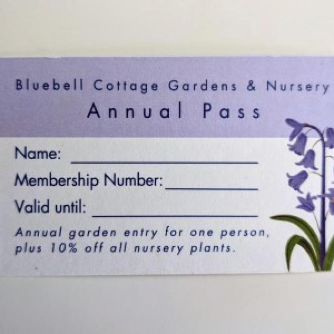 AAA403 - Membership Pass - Annual - Single