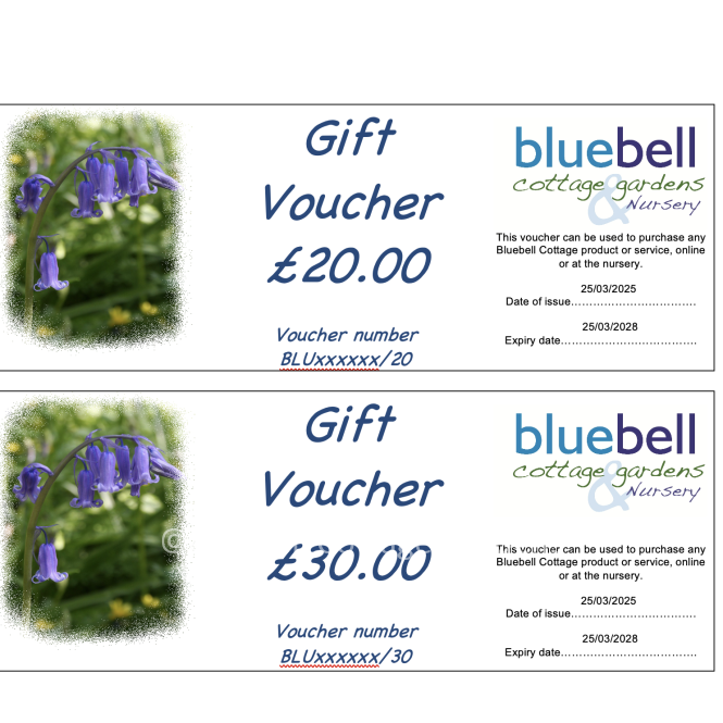 AAG100 - Bluebell Cottage Gift Voucher