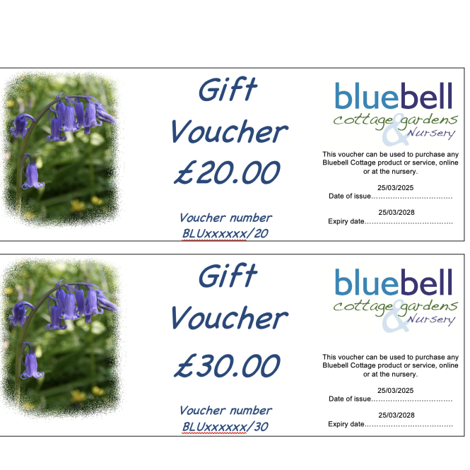AAG100 - Bluebell Cottage Gift Voucher